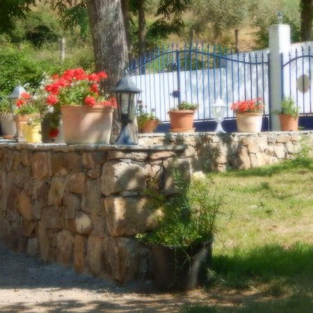 Ernella Hotel Aléria Buitenkant foto